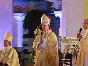 Vatican Cardinal visits Da Nang Diocese  - ảnh 1